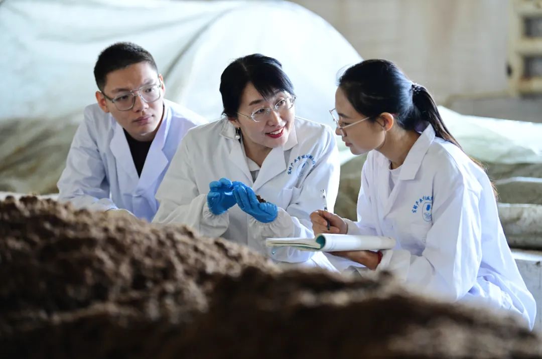 科研诚信典范 生物饲料研发领域的坚守与探索