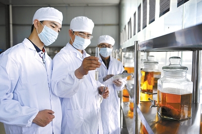 多措并举用秸秆 变废为宝获实惠——生物饲料研发的绿色实践与广阔前景