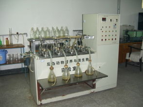 反刍动物饲料安全评价实验室与生物饲料研发的协同创新