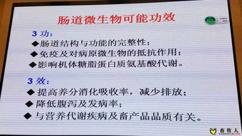 引领水产养殖新变革 麦康森院士论生物饲料研发的前沿探索