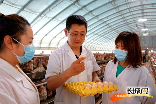 高清图 晨光生物 打造技术和原料优势 壮大产业链