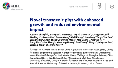节粮环保转基因猪 生物技术助力养猪业可持续发展