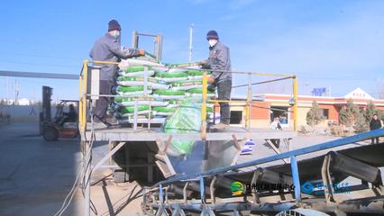 张掖市人民政府推动生物饲料研发，助力农业绿色发展